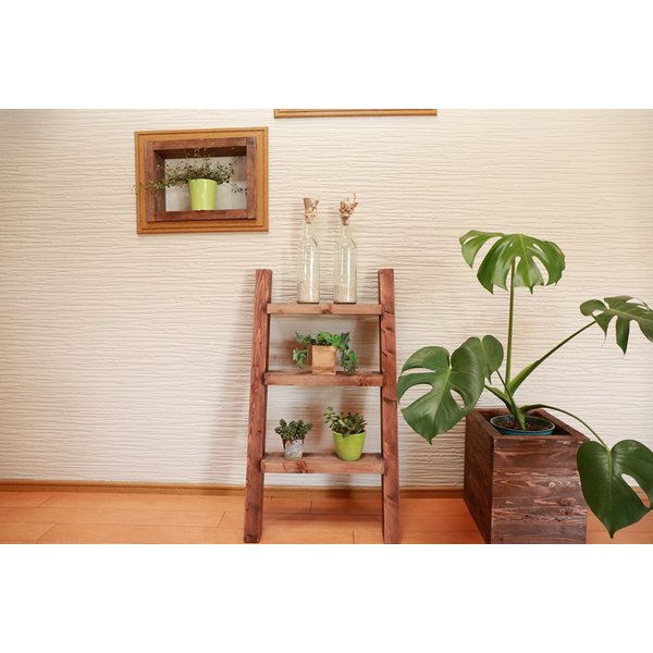 onePLUS /木製 飾り棚 はしご型 ラダ-シェルフ ディスプレイ ラック 3段